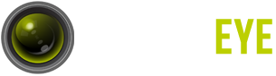 EULA - Salient Eye